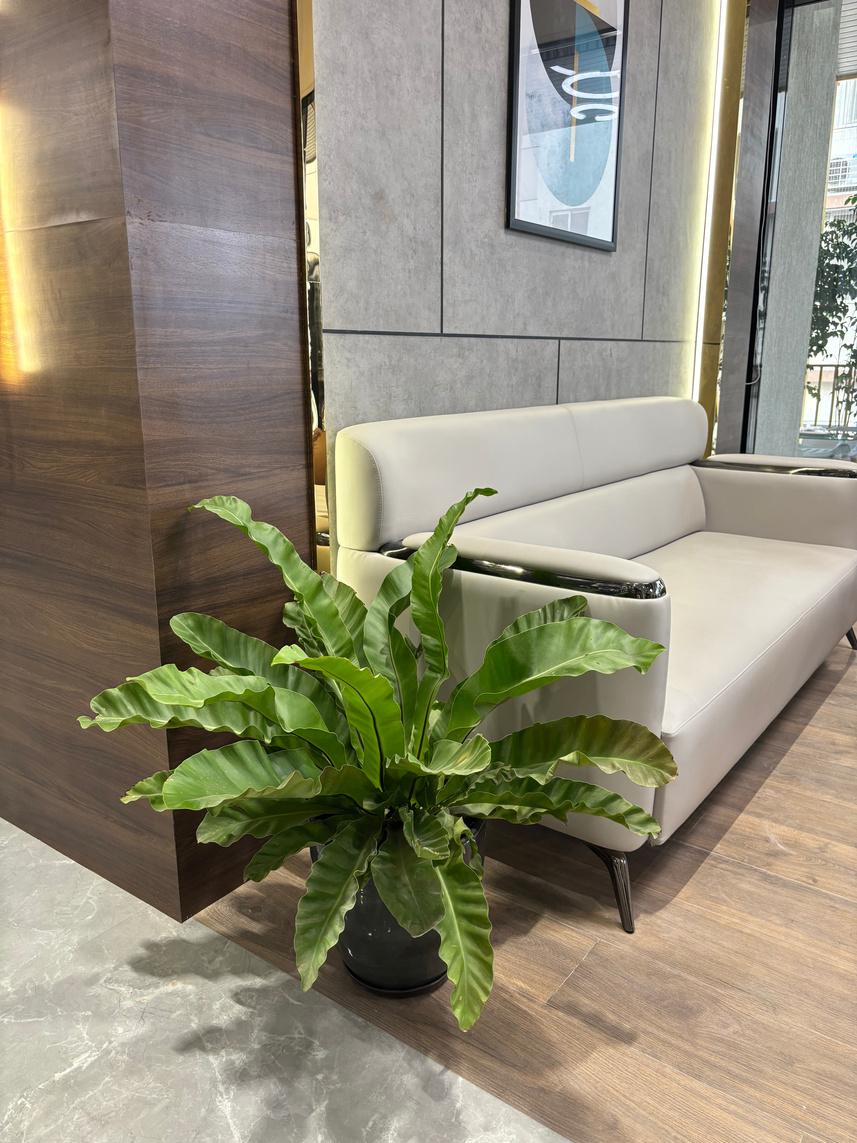 Colo Residency, Dadar West