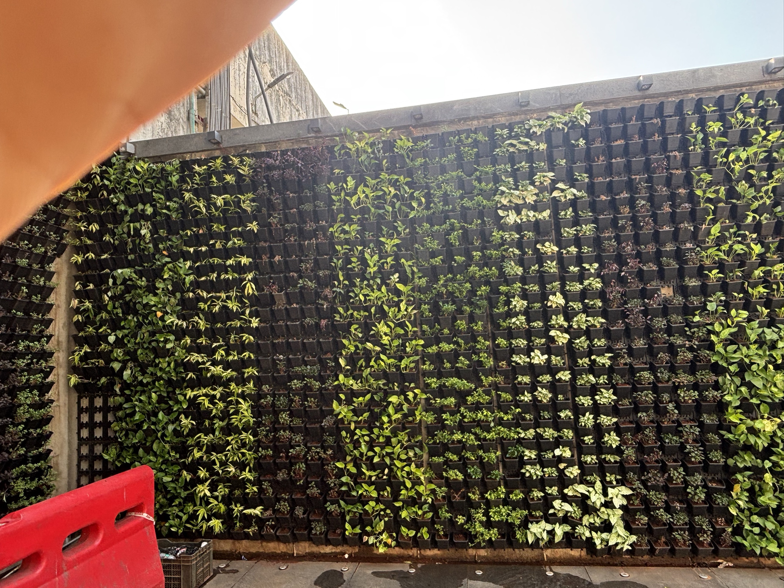 Modular vertical garden wall along the Kanakia Zillion premises perimeter